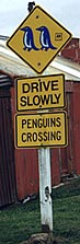 Penguin Crossing